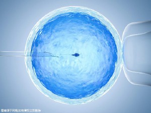 试管婴儿供卵代生咨询
